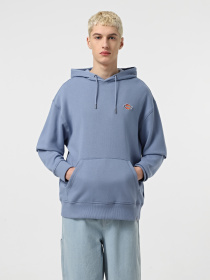 Худі Dickies Millersburg модель DK0A4YLYK371 Фото