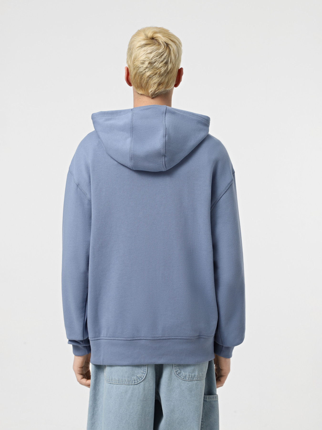 Худи Dickies Millersburg модель DK0A4YLYK371 Фото