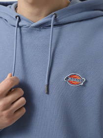Худи Dickies Millersburg модель DK0A4YLYK371 Фото