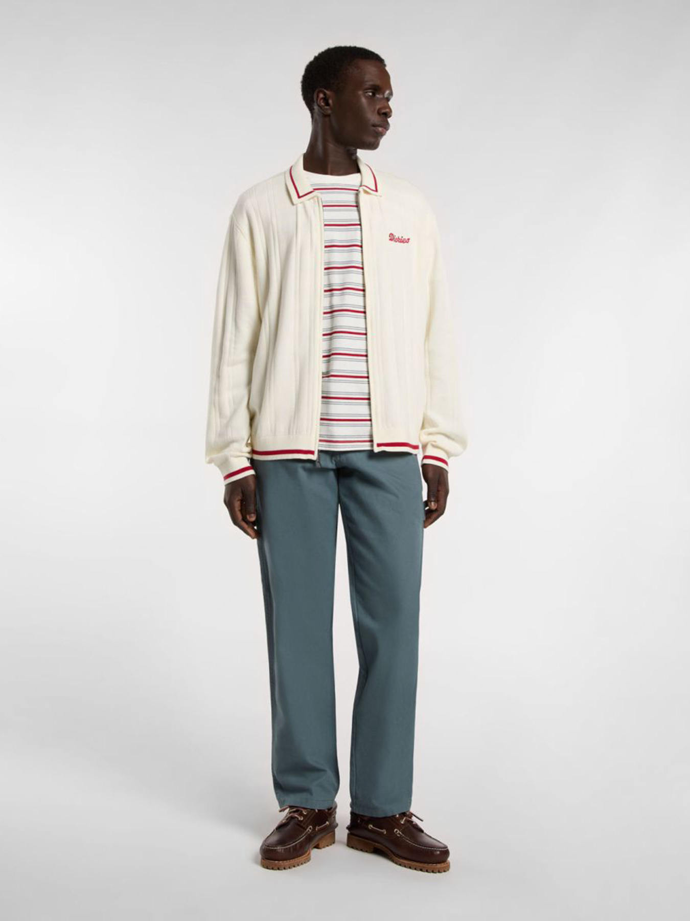 Кофта Dickies Lewistown FZ модель DK0A4Z79C481 Фото