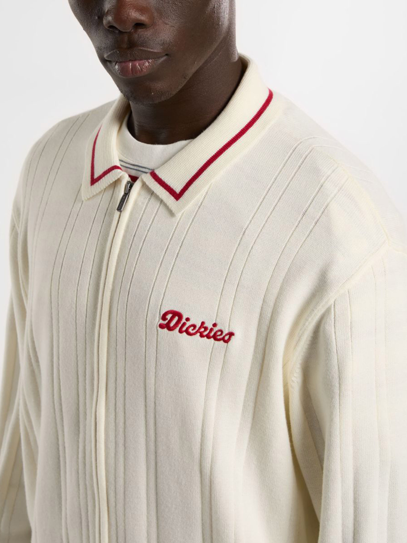 Кофта Dickies Lewistown FZ модель DK0A4Z79C481 Фото