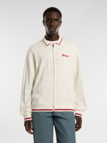 Кофта Dickies Lewistown FZ модель DK0A4Z79C481 Фото