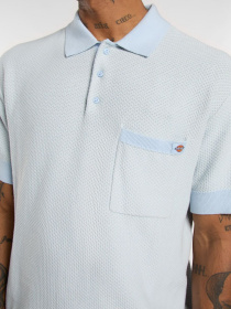 Поло Dickies Rocky Knit модель DK0A4Z7AF901 Фото