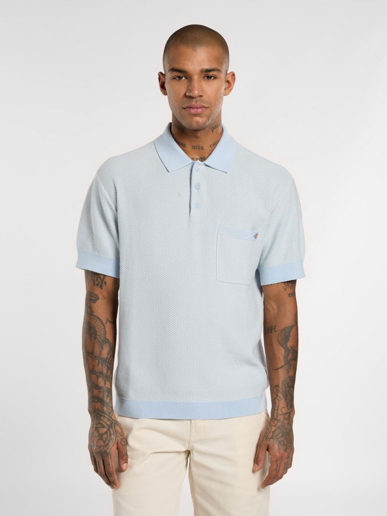 Поло Dickies Rocky Knit модель DK0A4Z7AF901 Поло Dickies Rocky Knit модель DK0A4Z7AF901 Фото