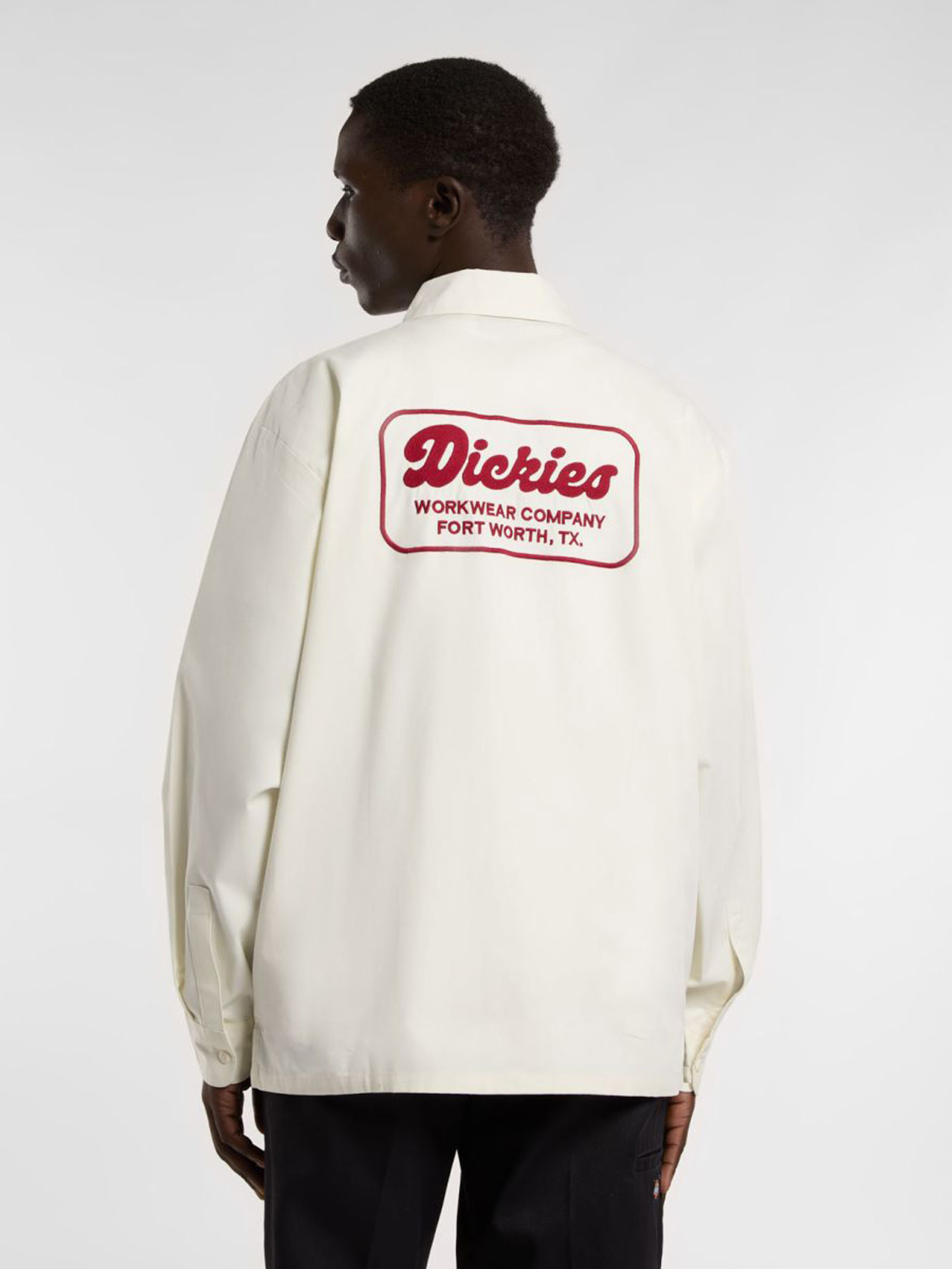 Сорочка Dickies Lewistown модель DK0A4Z7PC481 Фото