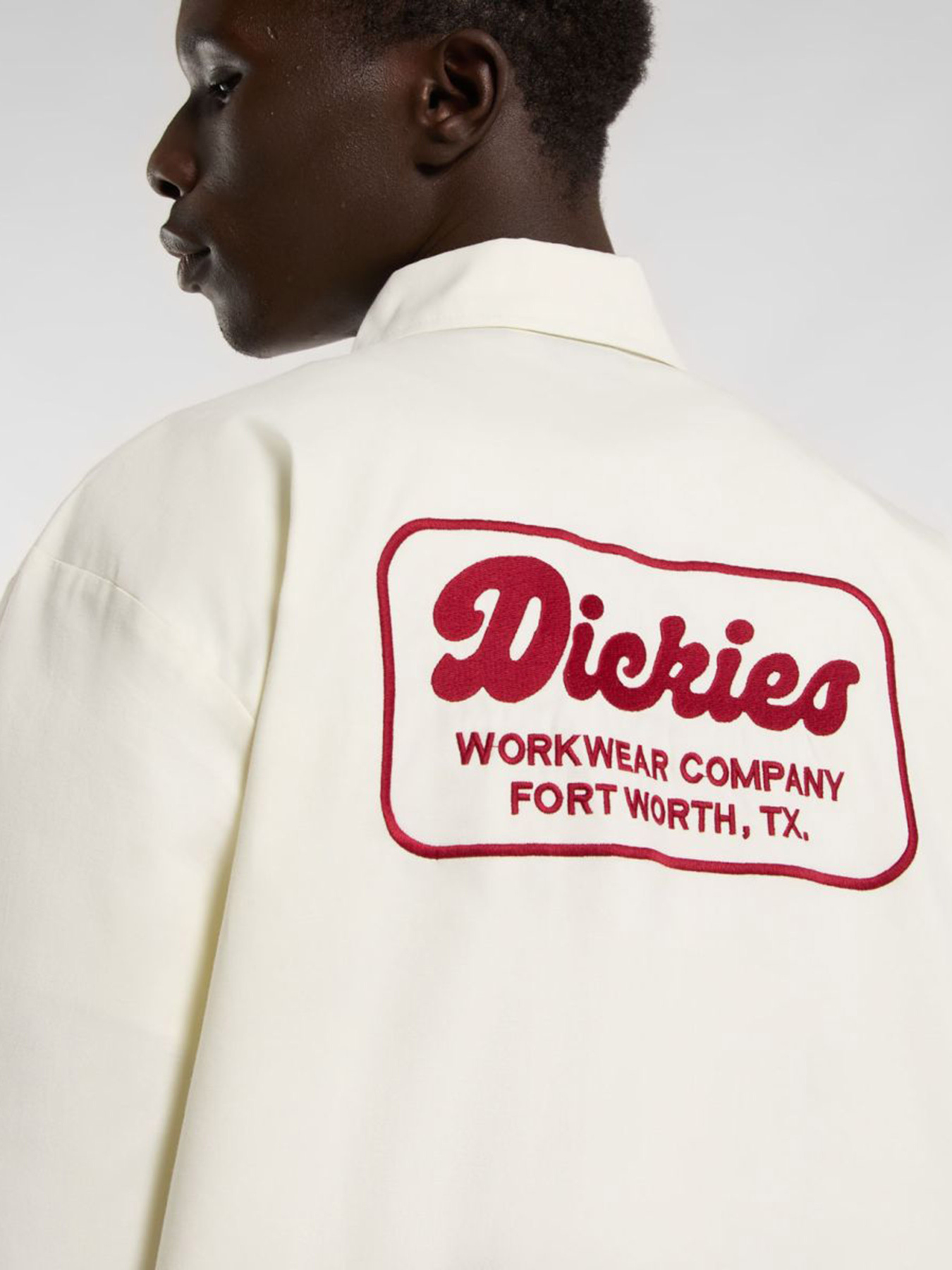 Сорочка Dickies Lewistown модель DK0A4Z7PC481 Фото