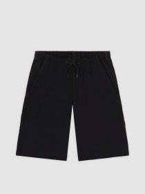 Повсякденні шорти Dickies Wilsall Carpenter модель DK0A4Z7XBLK1 Фото