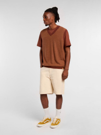 Повсякденні шорти Dickies River Ranch модель DK0A4Z7ZF901 Фото