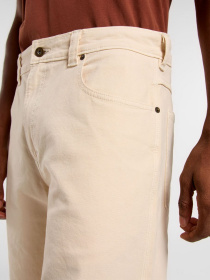 Повсякденні шорти Dickies River Ranch модель DK0A4Z7ZF901 Фото