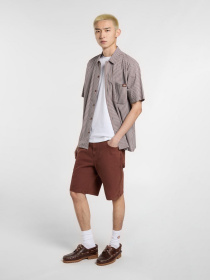 Повсякденні шорти Dickies River Ranch модель DK0A4Z7ZK471 Фото