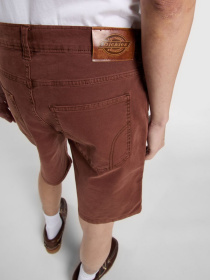 Повсякденні шорти Dickies River Ranch модель DK0A4Z7ZK471 Фото