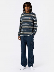 Карго Dickies Eagle Bend модель DK0A4X9XAF01 Фото