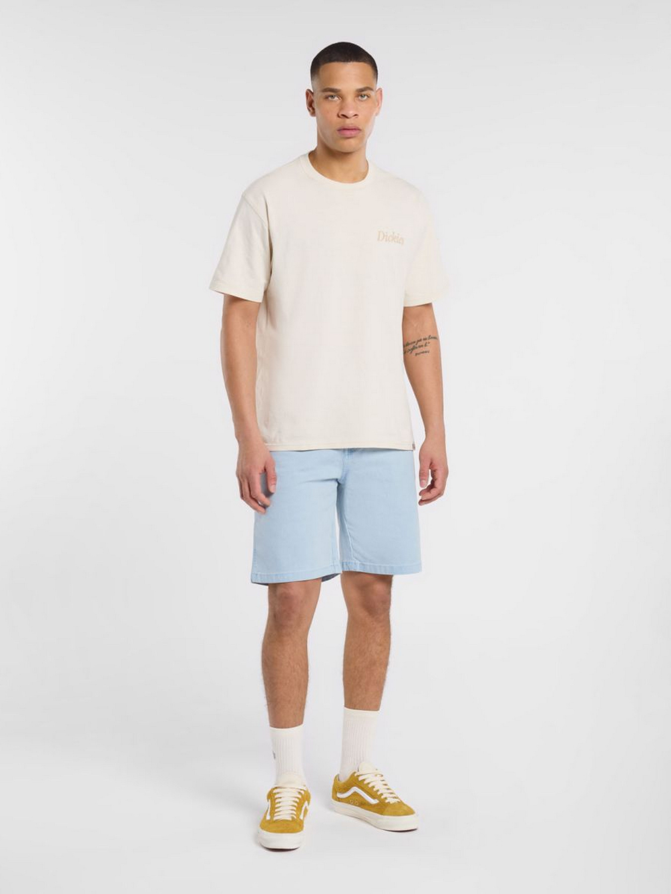 Шорти Dickies River Ranch модель DK0A4Z7ZK541 Фото