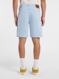 Шорты Dickies River Ranch модель DK0A4Z7ZK541 Фото