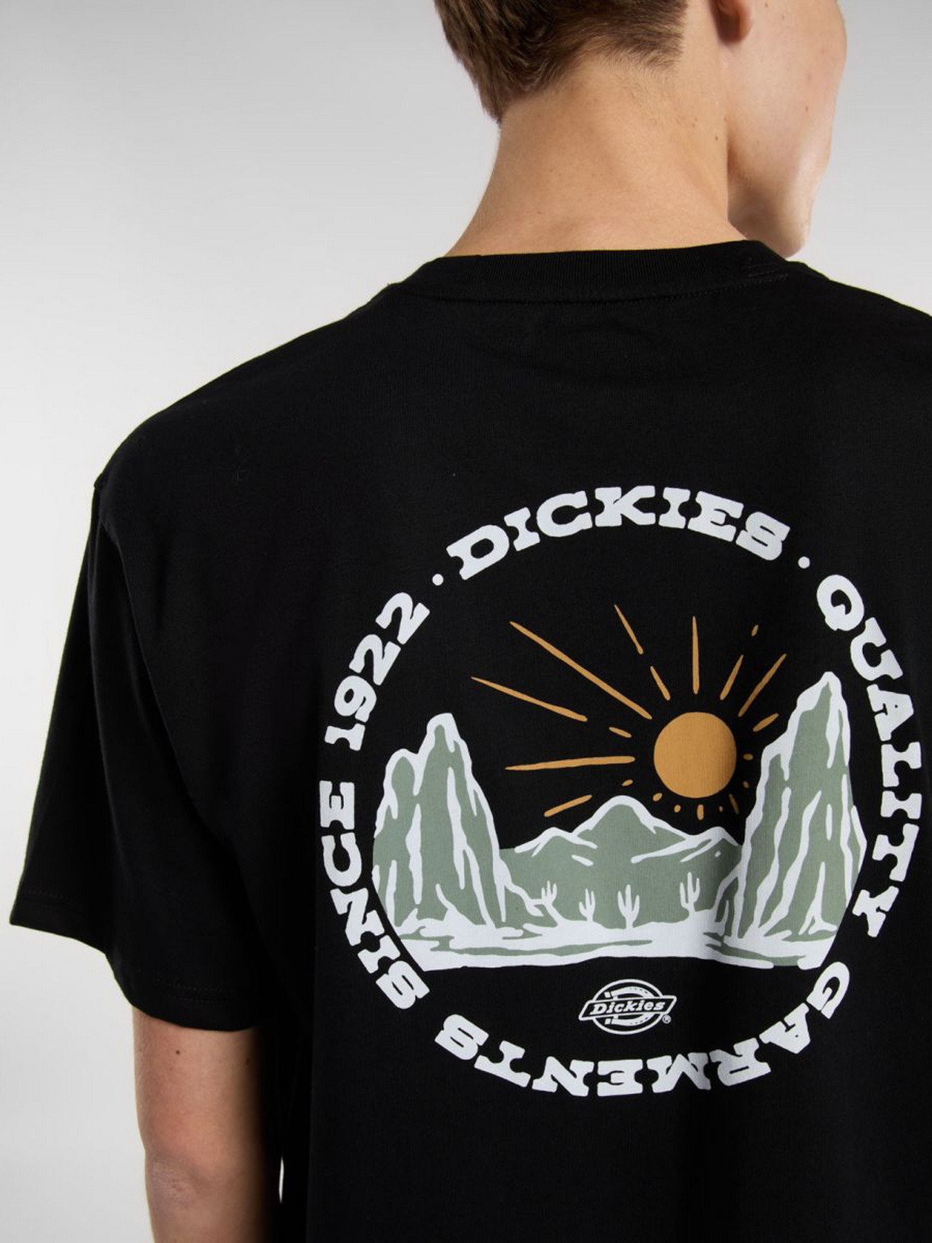 Футболка Dickies Outdoor модель DK0A4Z8PBLK1 Фото