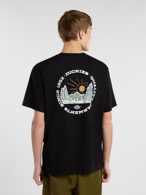 Футболка Dickies Outdoor модель DK0A4Z8PBLK1 Фото