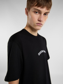 Футболка Dickies Outdoor модель DK0A4Z8PBLK1 Фото