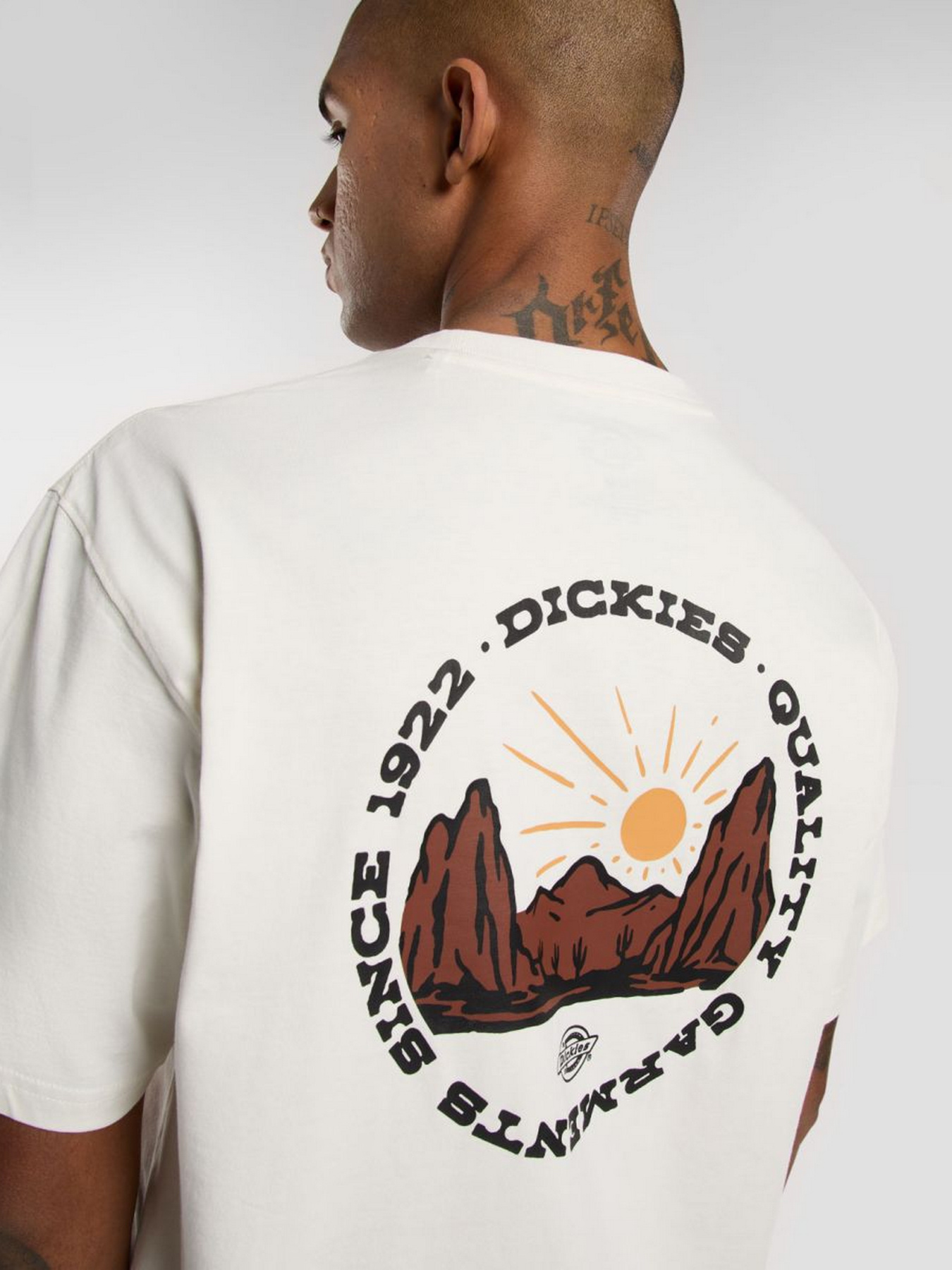 Футболка Dickies Outdoor модель DK0A4Z8PC481 Фото