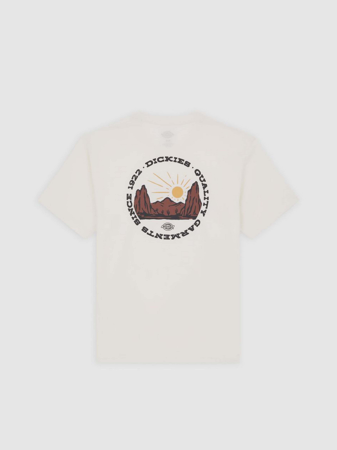 Футболка Dickies Outdoor модель DK0A4Z8PC481 Футболка Dickies Outdoor модель DK0A4Z8PC481 Фото