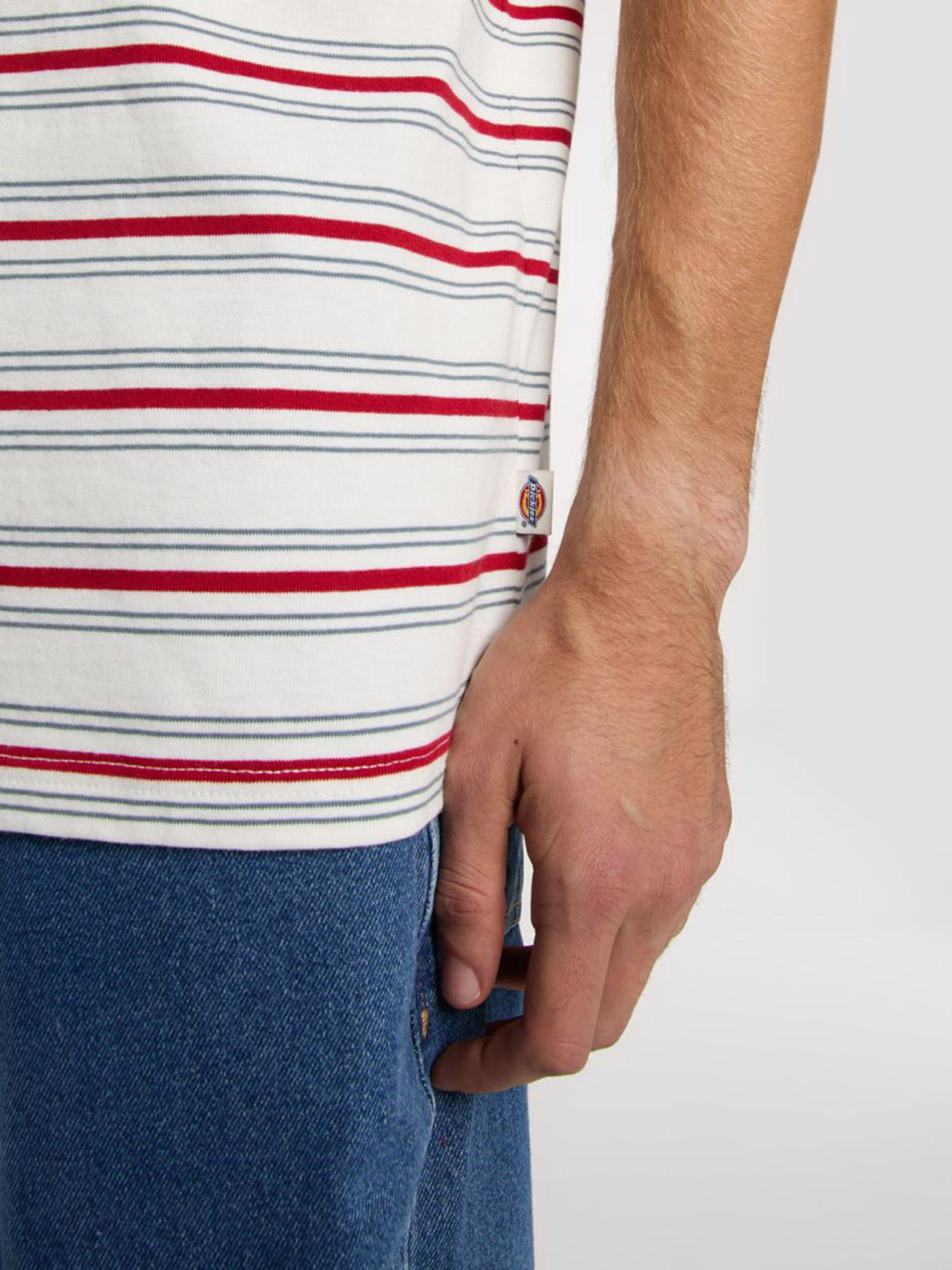 Футболка Dickies Lewistown модель DK0A4Z8SC481 Фото