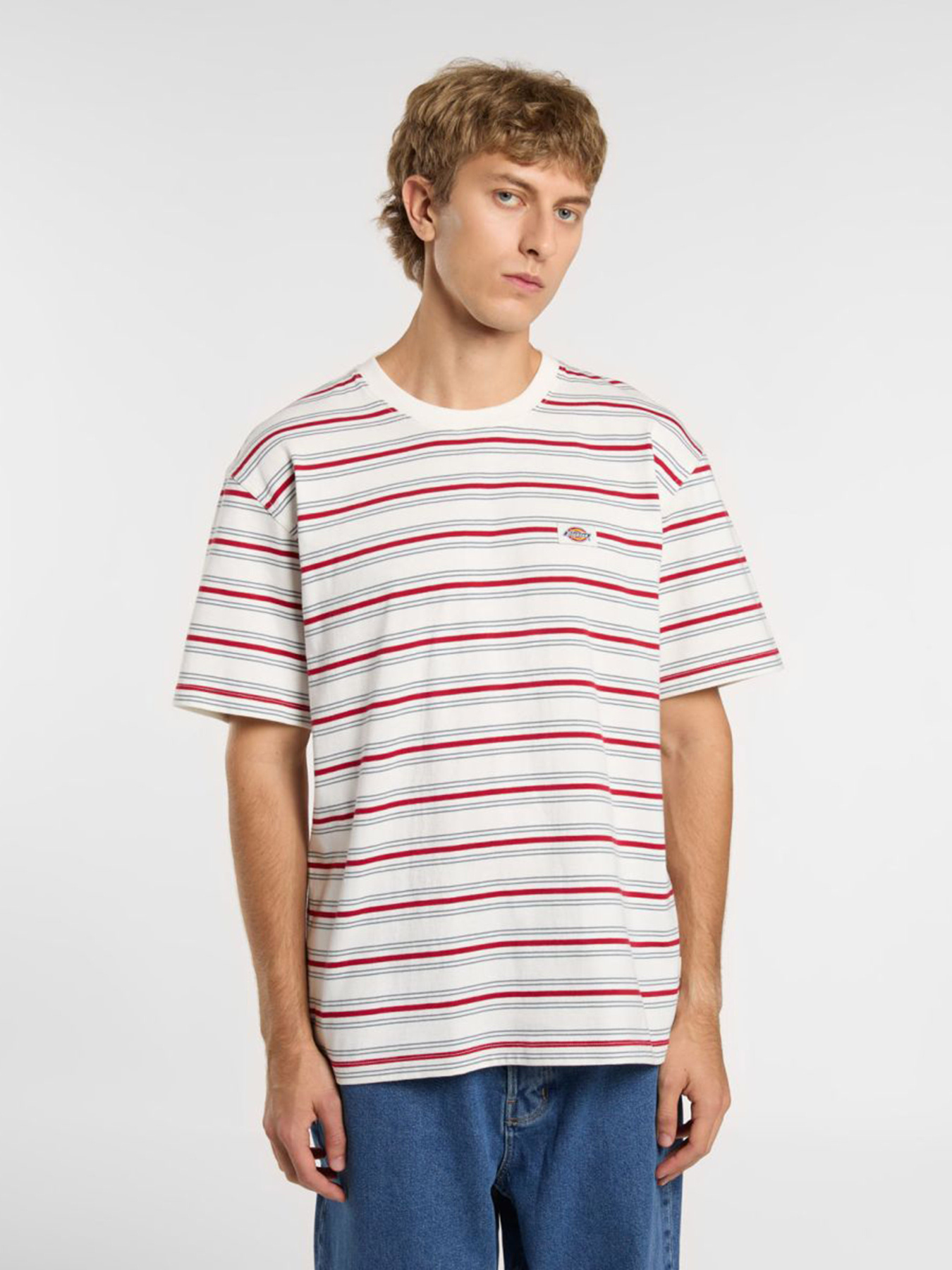 Футболка Dickies Lewistown модель DK0A4Z8SC481 Фото