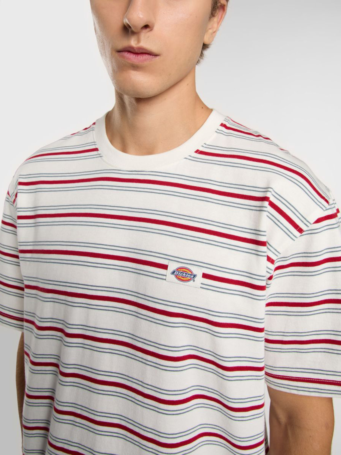 Футболка Dickies Lewistown модель DK0A4Z8SC481 Фото