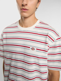 Футболка Dickies Lewistown модель DK0A4Z8SC481 Фото