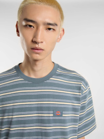 Футболка Dickies Lewistown Stripe модель DK0A4Z8SG701 Фото