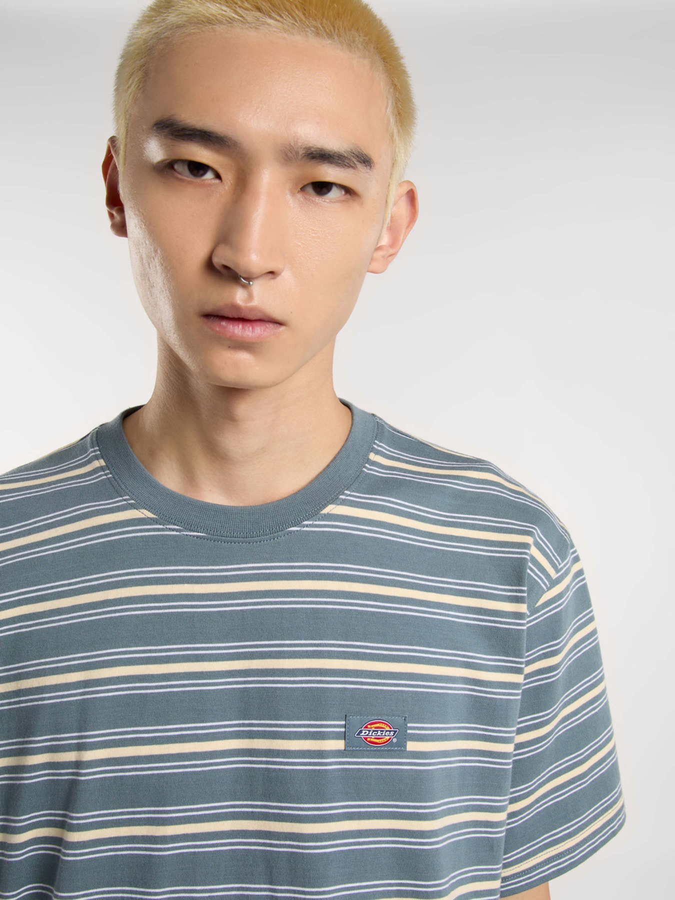 Футболка Dickies Lewistown Stripe модель DK0A4Z8SG701 Фото