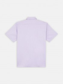 Сорочка повсякденна Dickies Work модель DK0A4XK7E611 Фото