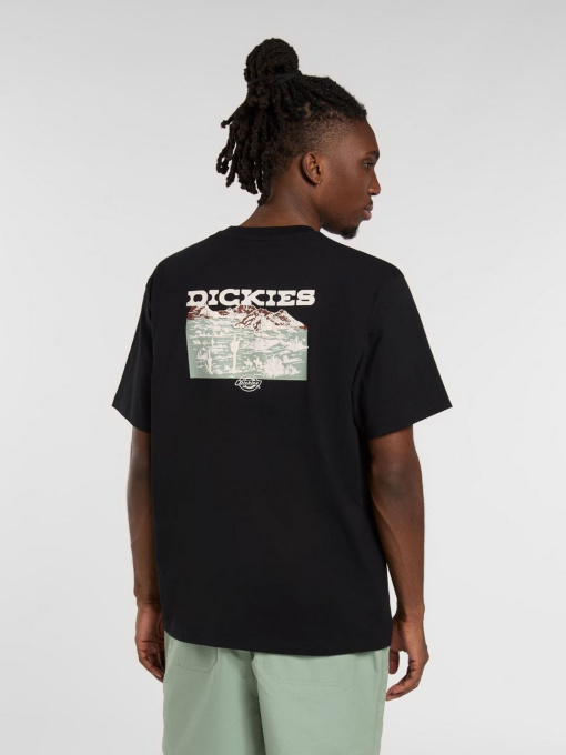 Футболка Dickies Landscape модель DK0A4Z8VBLK1 Фото