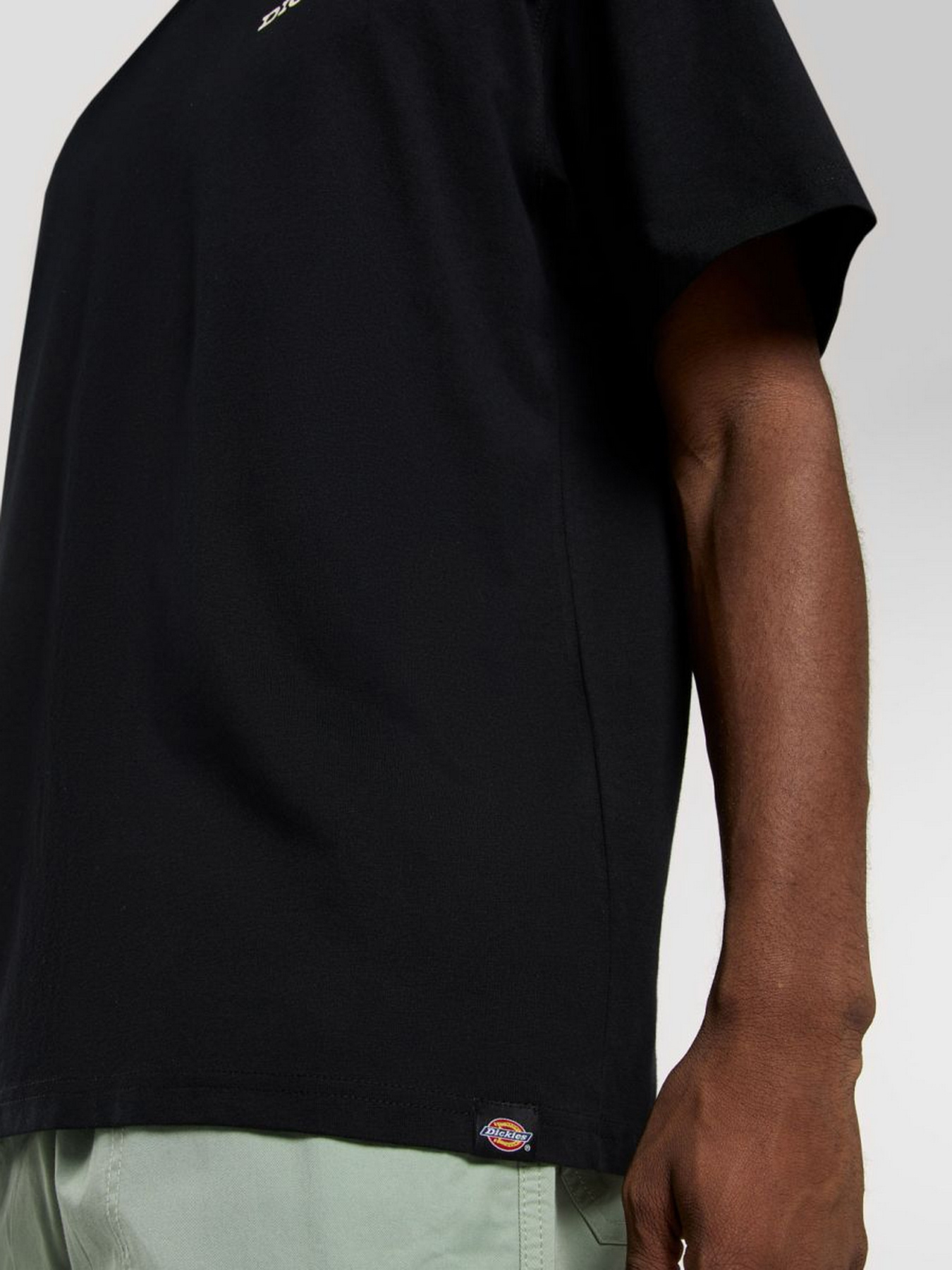 Футболка Dickies Landscape модель DK0A4Z8VBLK1 Фото