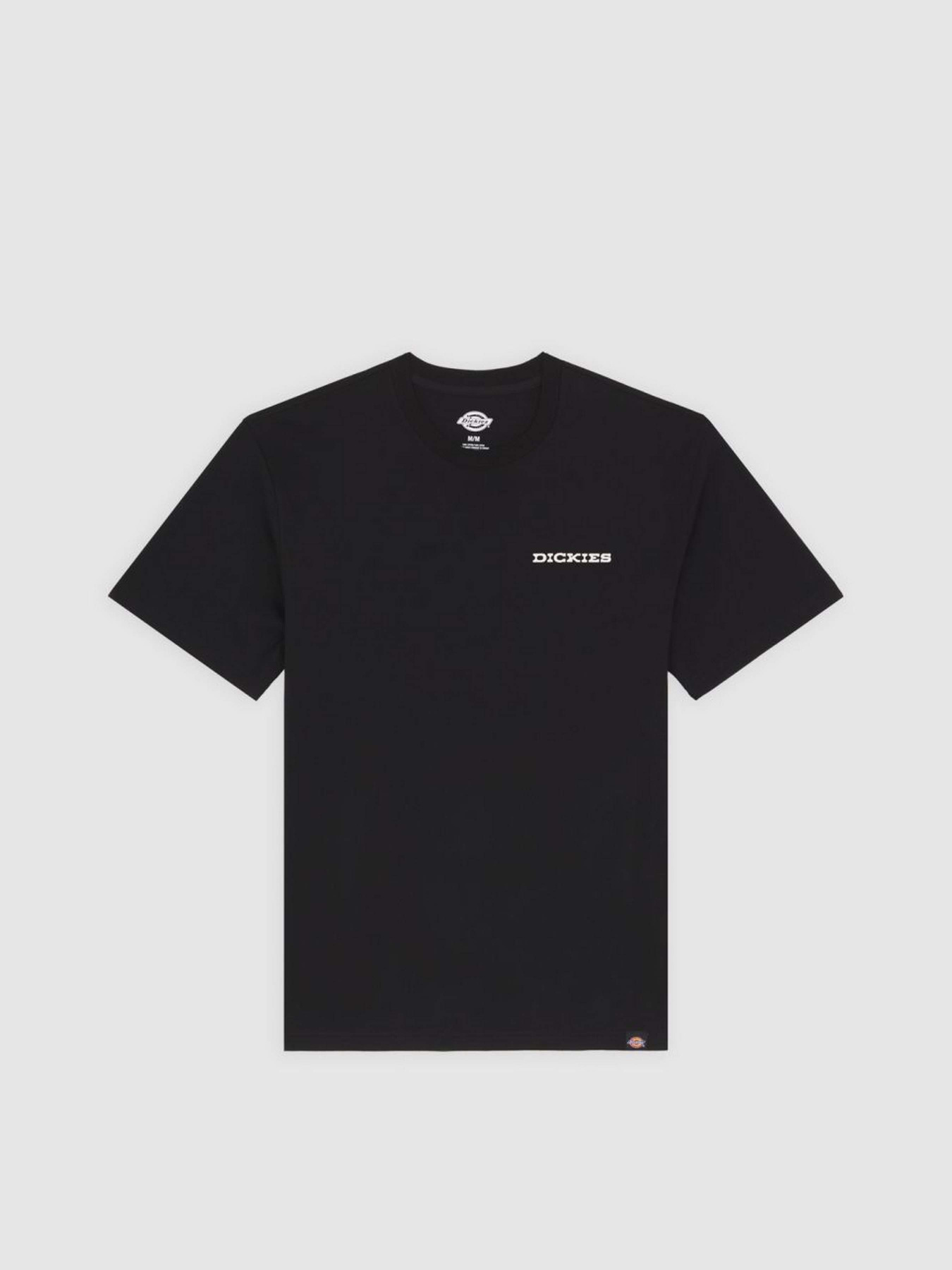 Футболка Dickies Landscape модель DK0A4Z8VBLK1 Фото