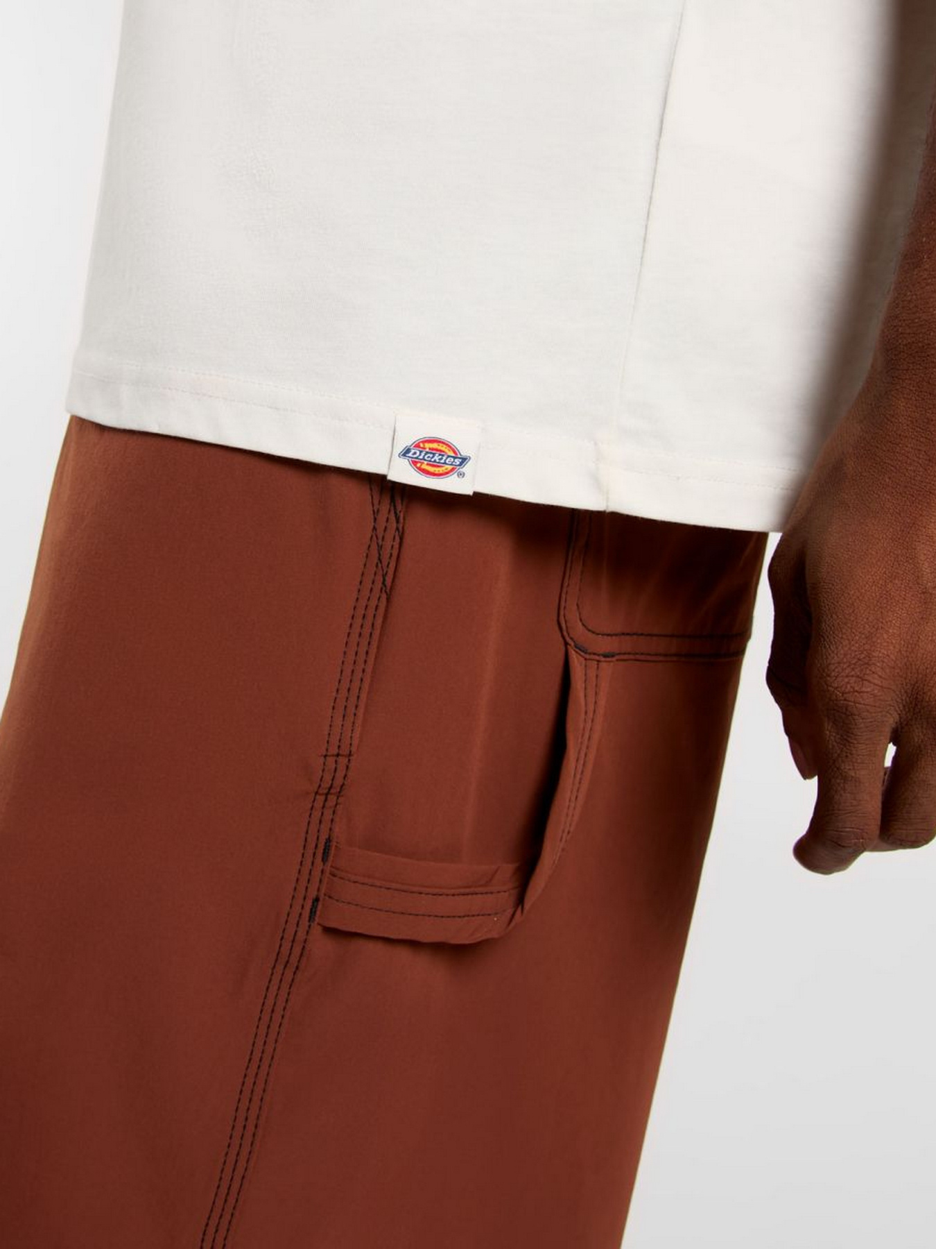 Футболка Dickies Landscape модель DK0A4Z8VC481 Фото