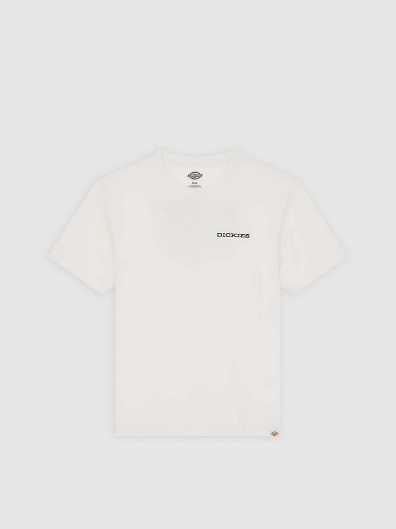 Футболка Dickies Landscape модель DK0A4Z8VC481 Фото