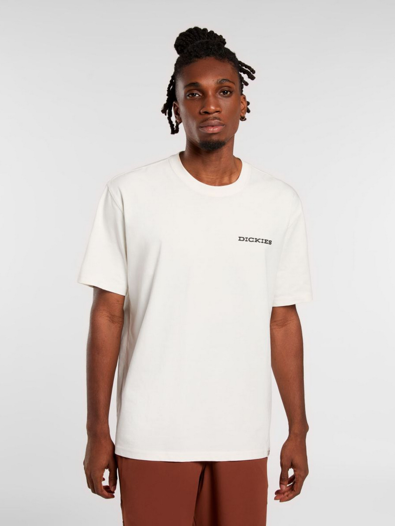 Футболка Dickies Landscape модель DK0A4Z8VC481 Футболка Dickies Landscape модель DK0A4Z8VC481 Фото