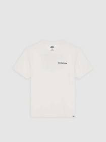 Футболка Dickies Landscape модель DK0A4Z8VC481 Футболка Dickies Landscape модель DK0A4Z8VC481 Фото