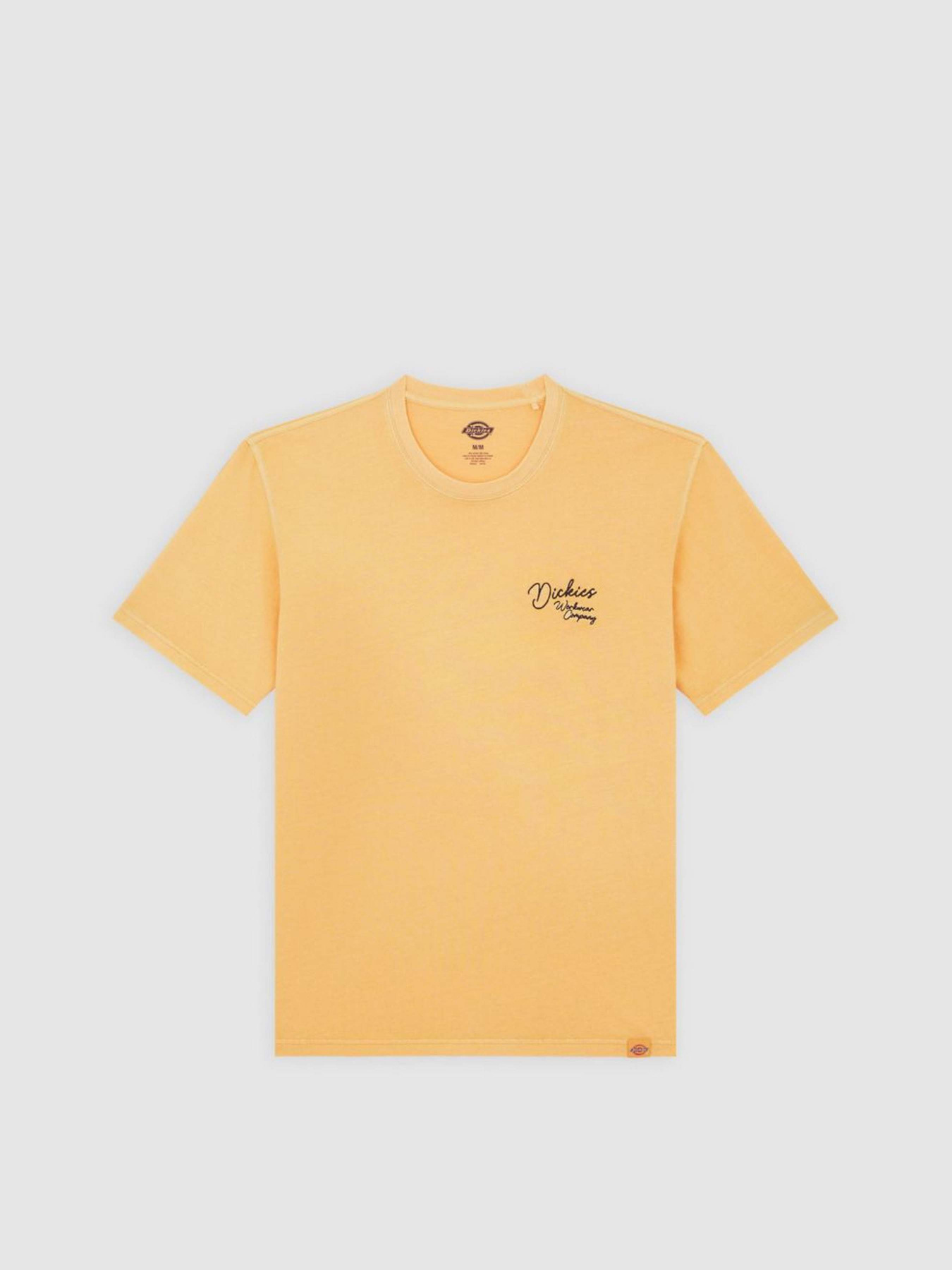 Футболка Dickies Rope Chest модель DK0A4Z8WK411 Фото