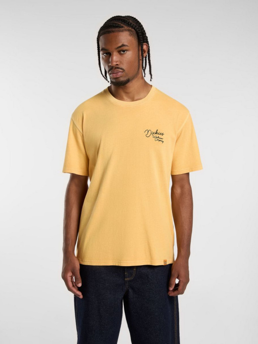 Футболка Dickies Rope Chest модель DK0A4Z8WK411 Фото