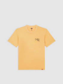 Футболка Dickies Rope Chest модель DK0A4Z8WK411 Фото