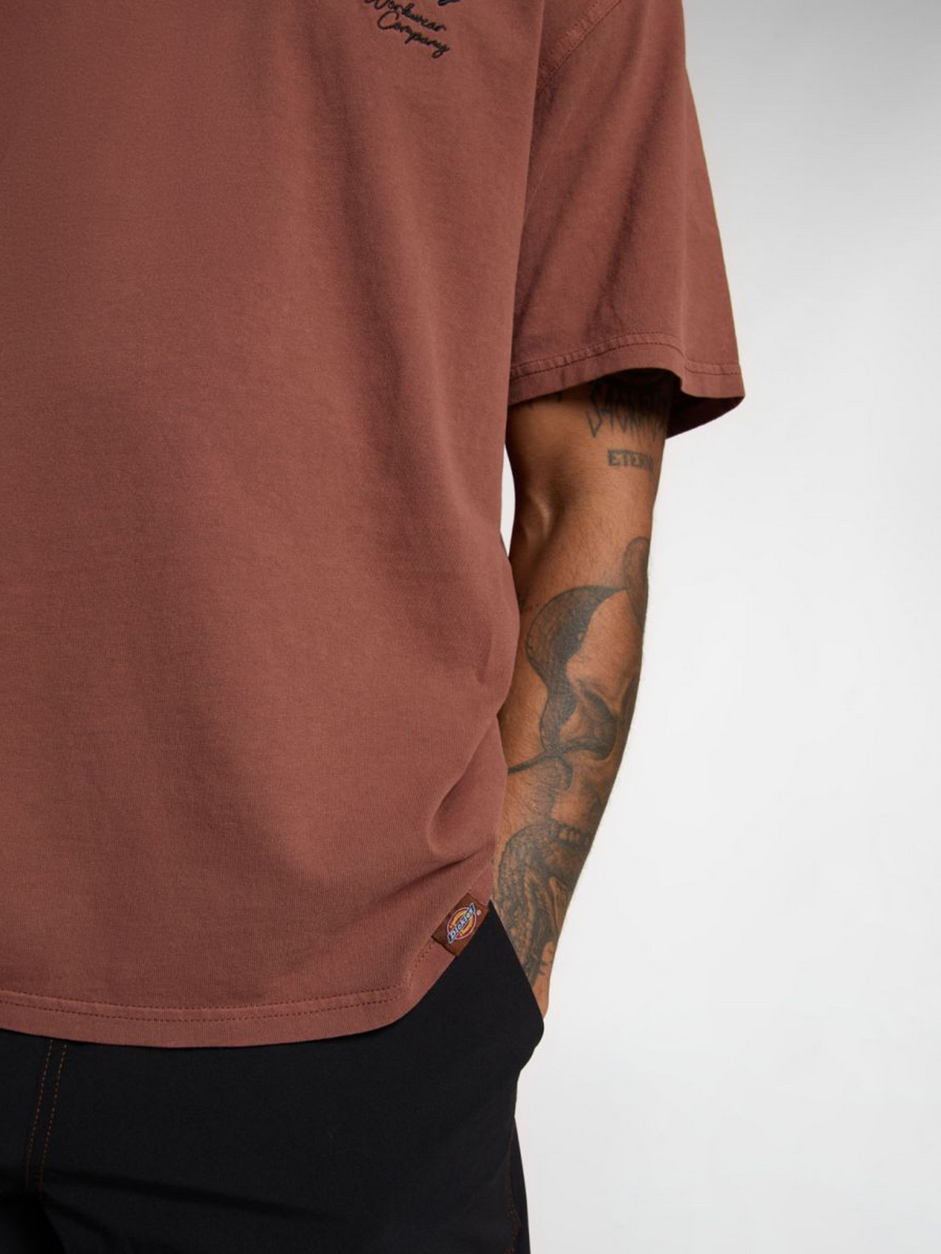 Футболка Dickies Rope Chest модель DK0A4Z8WK471 Фото