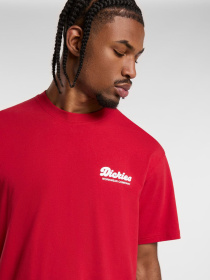 Футболка Dickies Lewistown модель DK0A4Z8Z0ER1 Фото