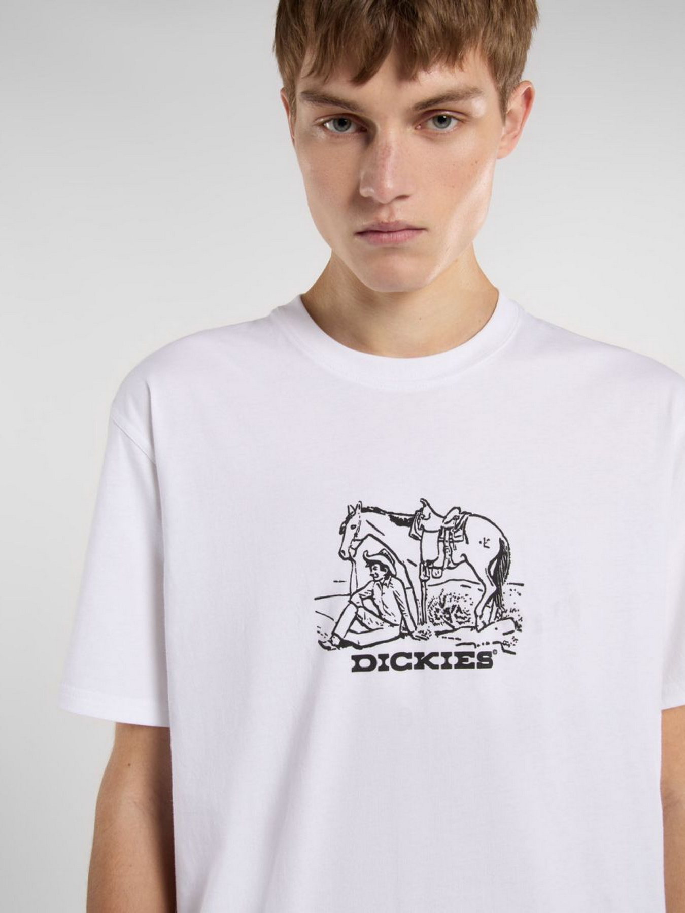 Футболка Dickies Companion Center Logo модель DK0A4Z910WH1 Фото