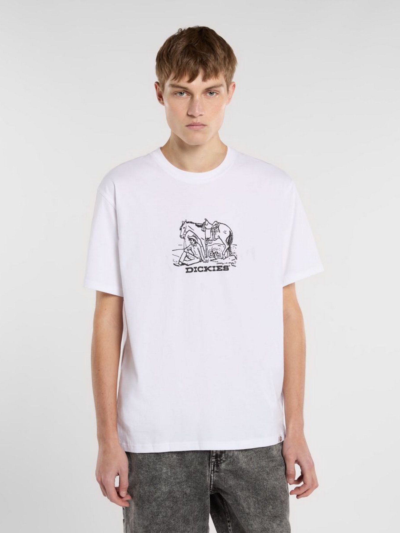 Футболка Dickies Companion Center Logo модель DK0A4Z910WH1 Фото