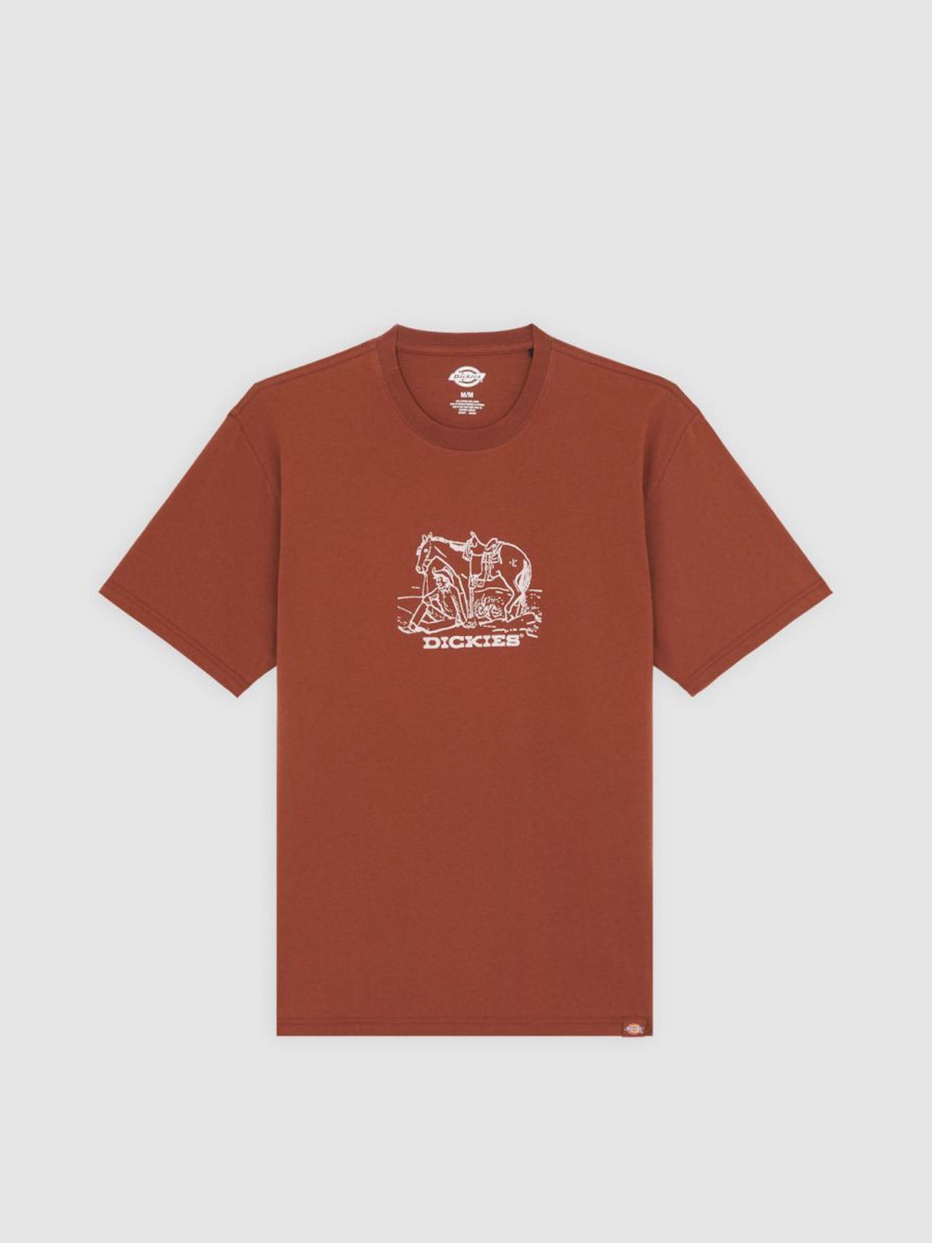 Футболка Dickies Companion Center Logo модель DK0A4Z91K471 Фото