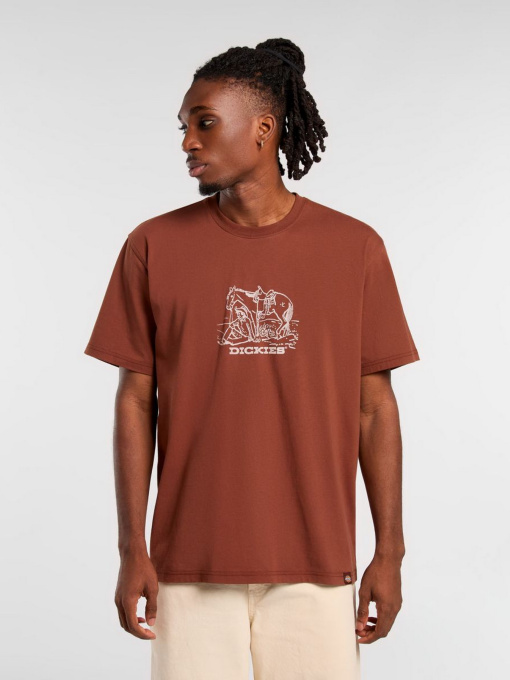 Футболка Dickies Companion Center Logo модель DK0A4Z91K471 Фото