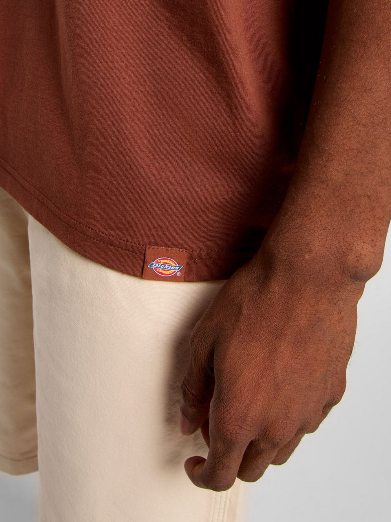 Футболка Dickies Companion Center Logo модель DK0A4Z91K471 Футболка Dickies Companion Center Logo модель DK0A4Z91K471 Фото