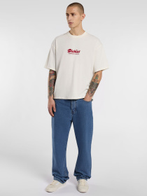 Футболка Dickies Lewistown Embro модель DK0A4Z94C481 Фото