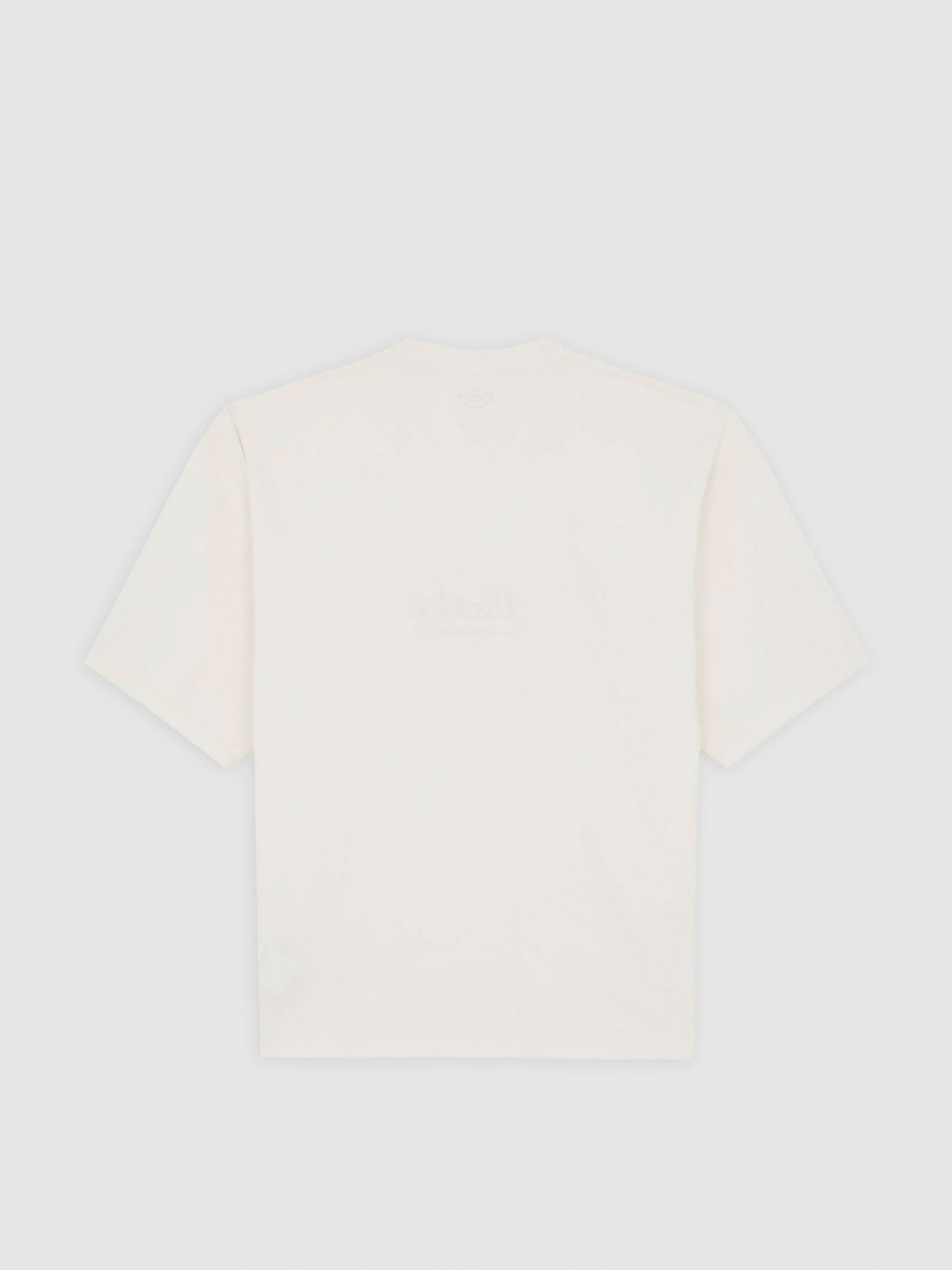 Футболка Dickies Lewistown Embro модель DK0A4Z94C481 Фото