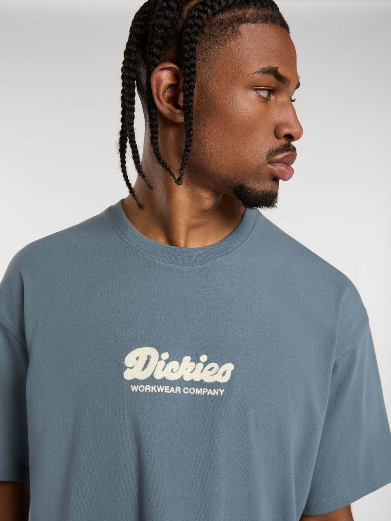 Футболка Dickies Lewistown Embro модель DK0A4Z94G701 Фото